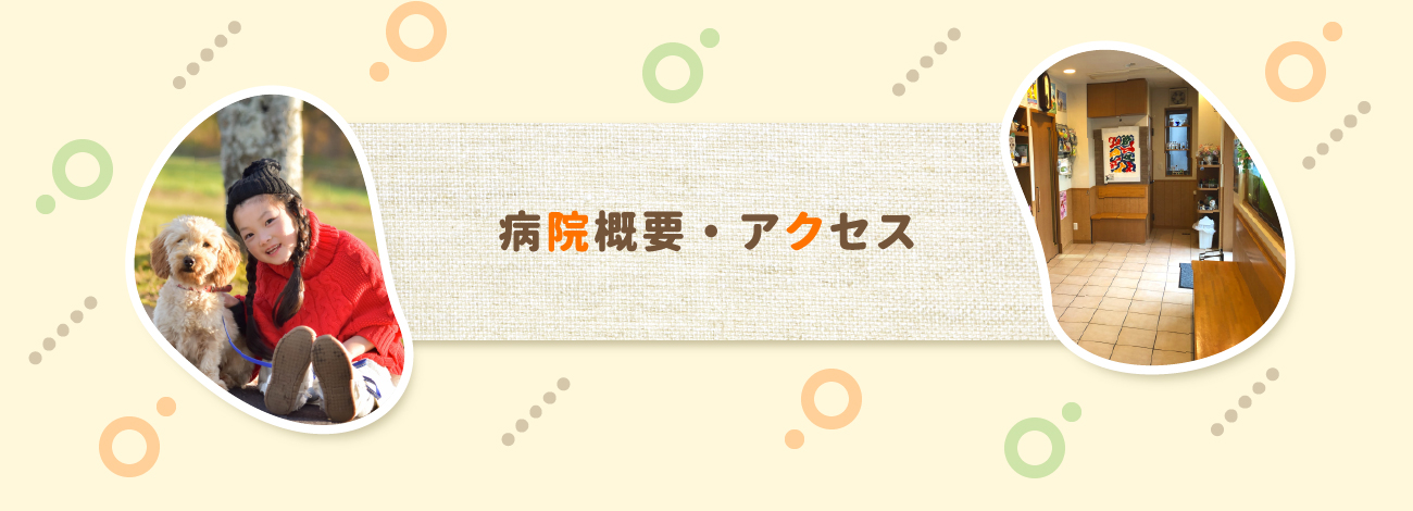 病院概要・アクセス