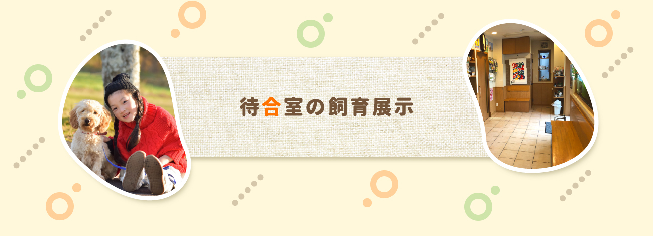 待合室の飼育展示